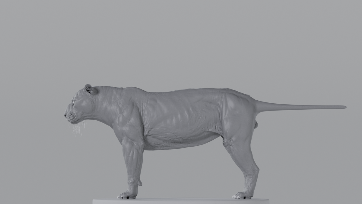Tiger
