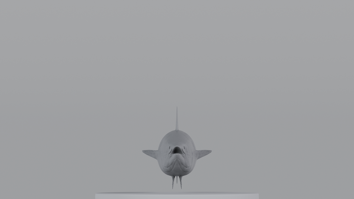Tuna
