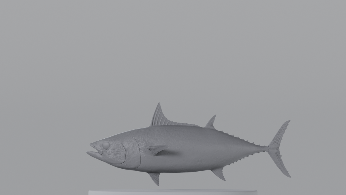 Tuna