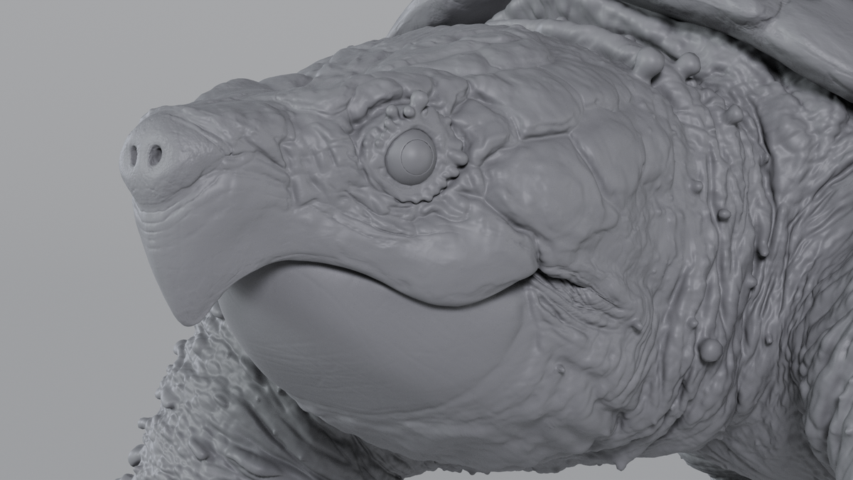Snapping Turtle