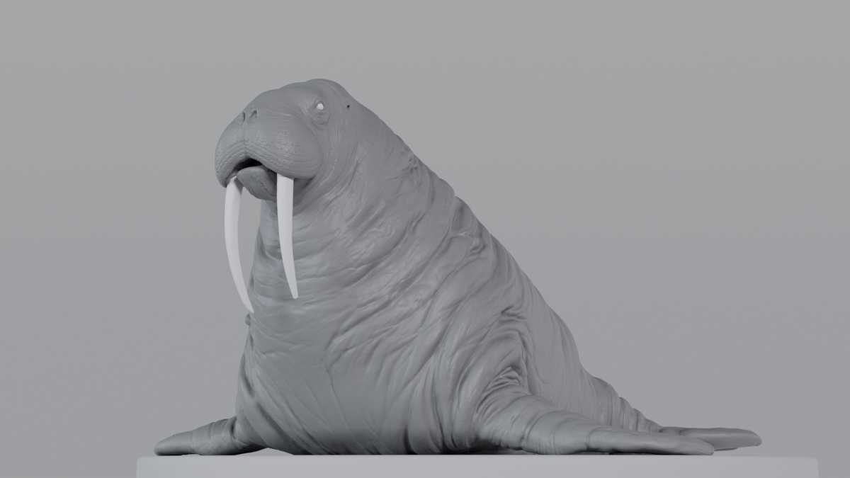 Walrus