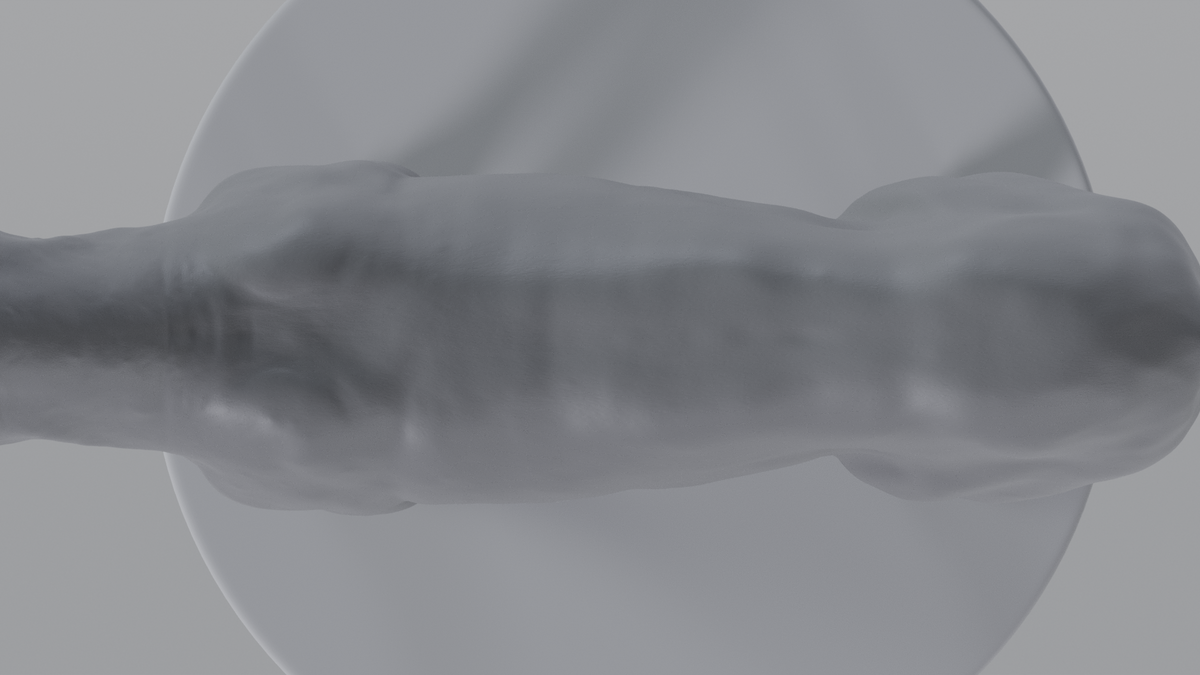 Grey Wolf