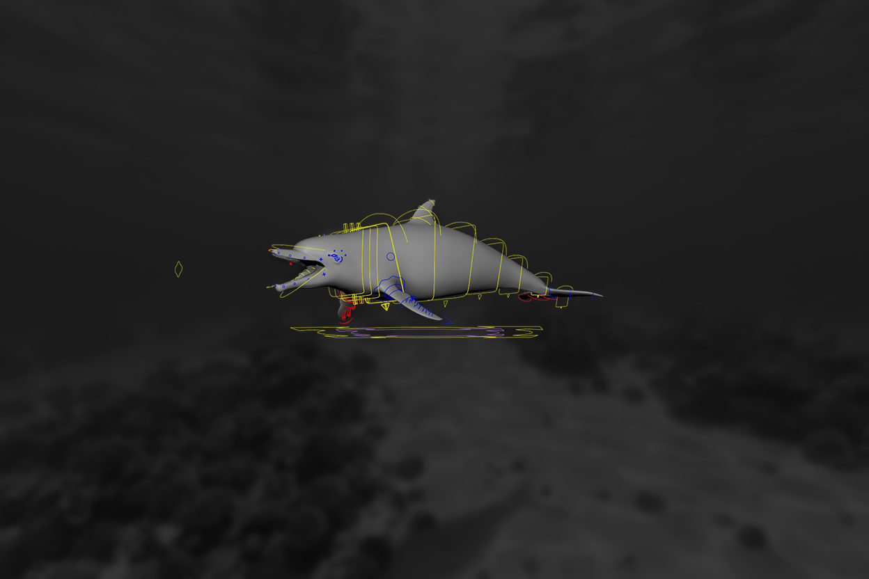 Dolphin