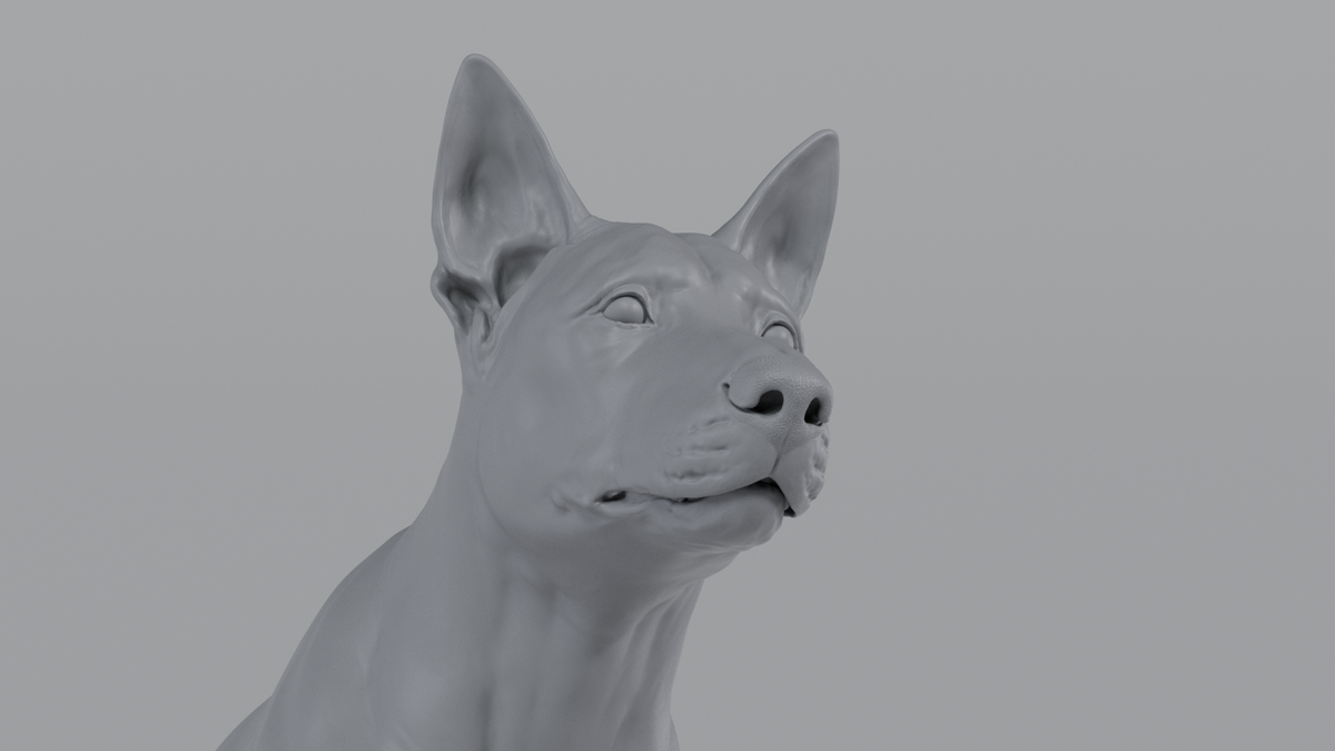 German Sheperd