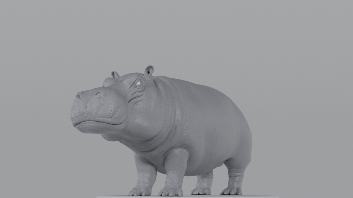 Hippopotamus