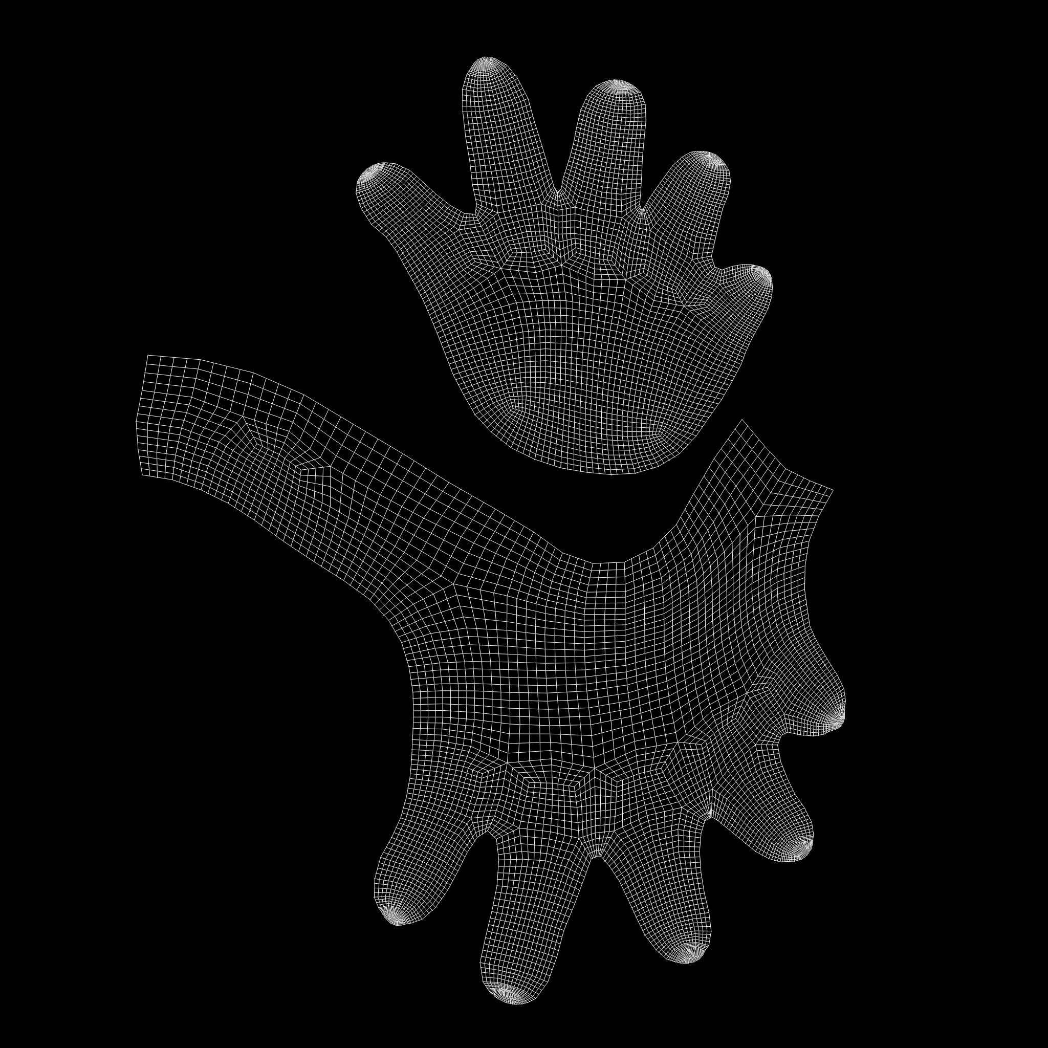 Komodo Dragon