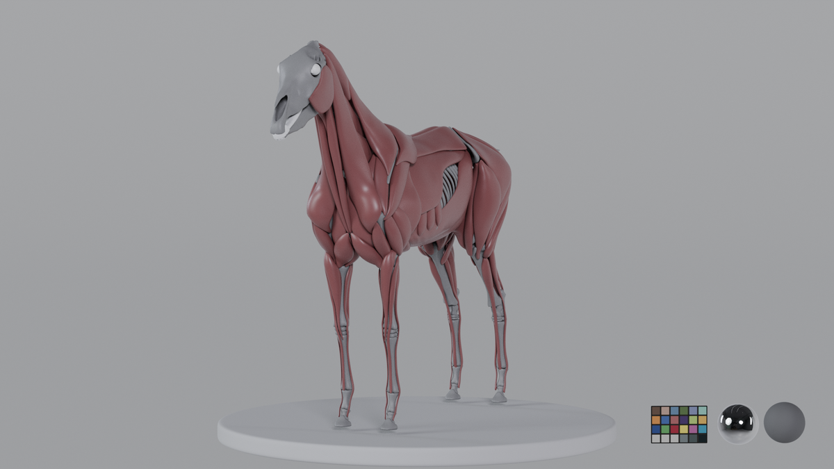 Horse