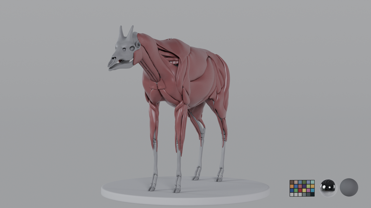 Okapi