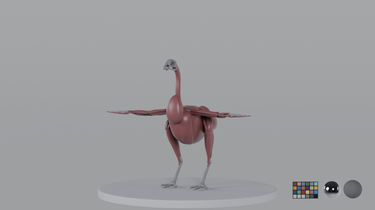 Rooster