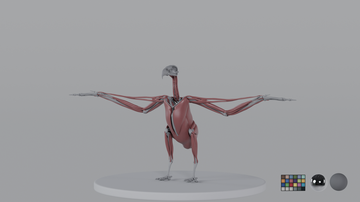 Eagle