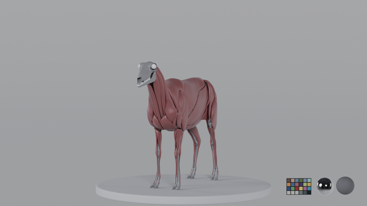 Sheep
