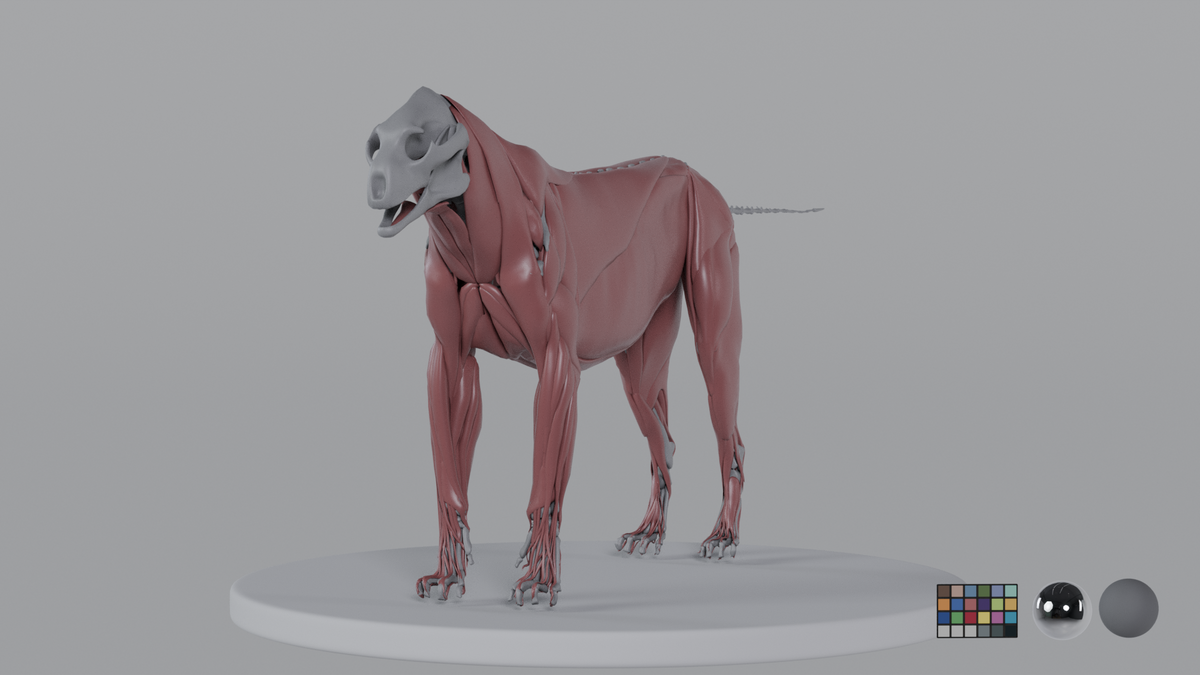 Lion
