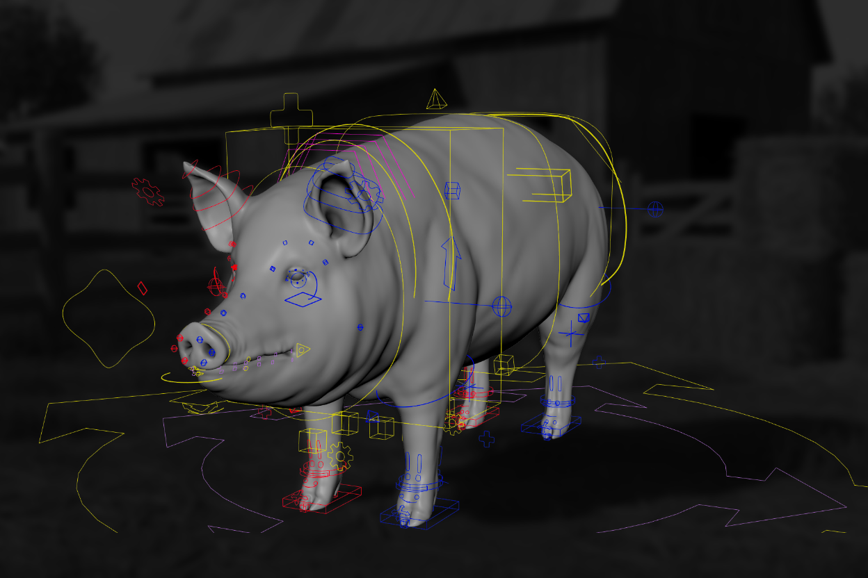 Pig