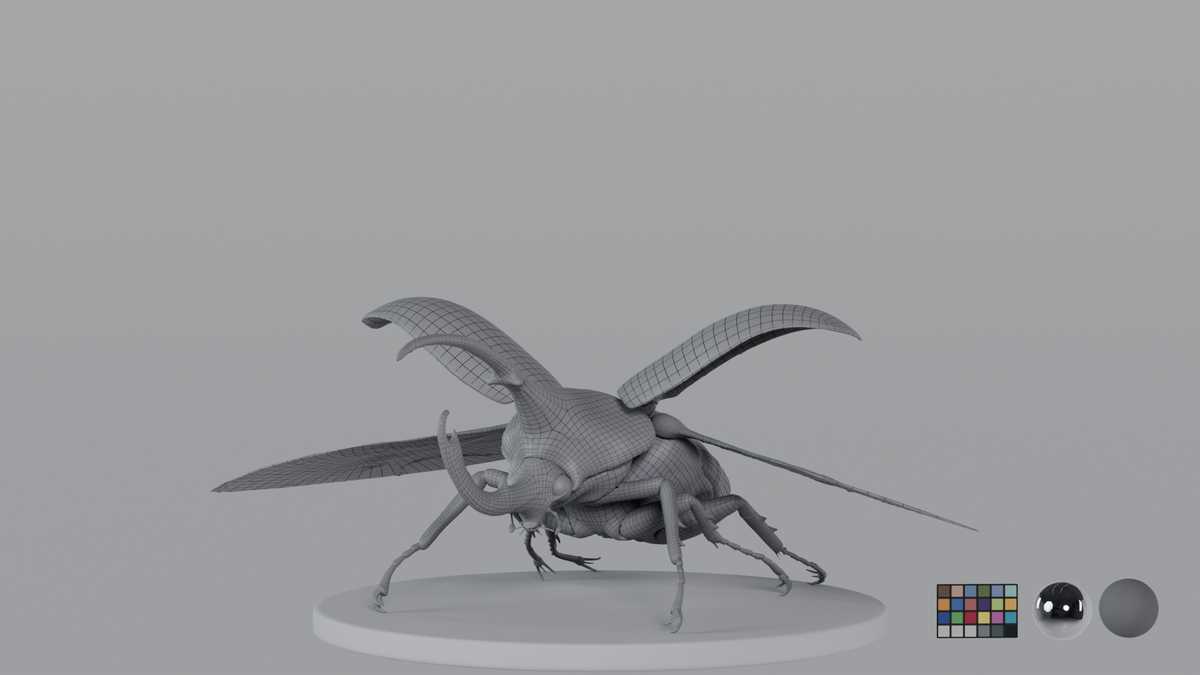 Beetle