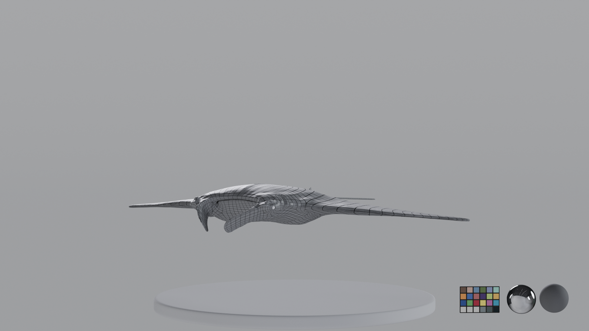 Manta Ray