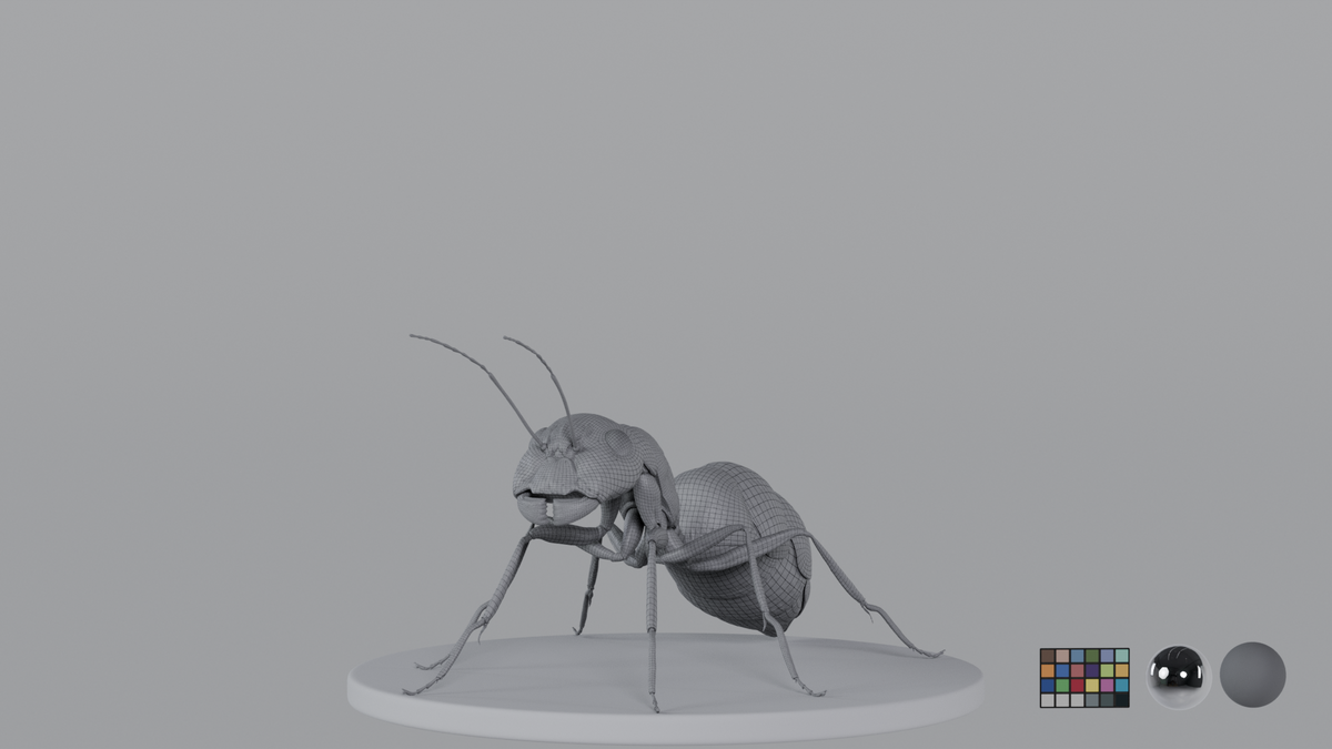 Ant
