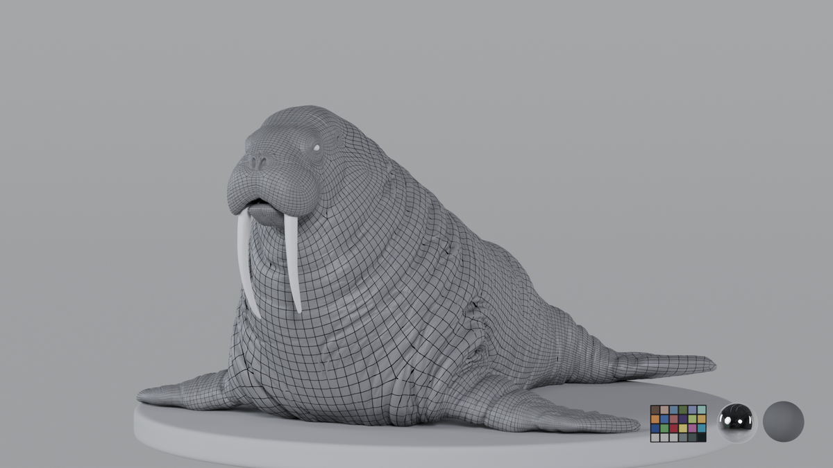 Walrus