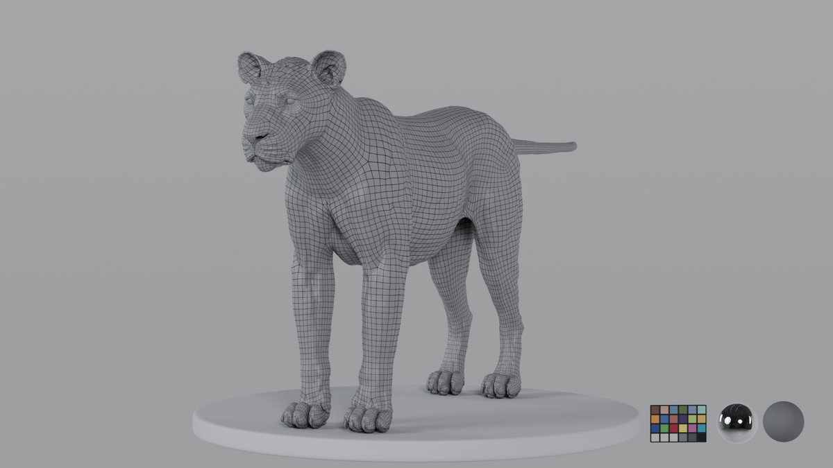 Lioness
