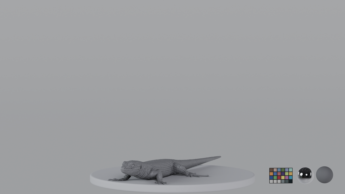 Lizard