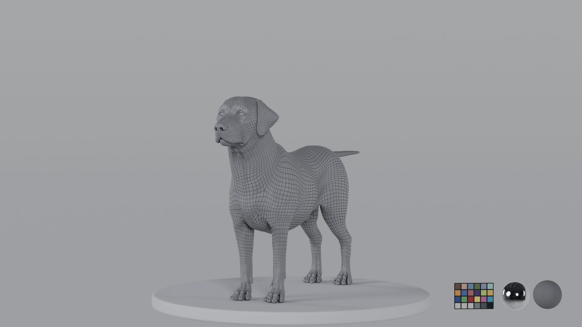 Labrador