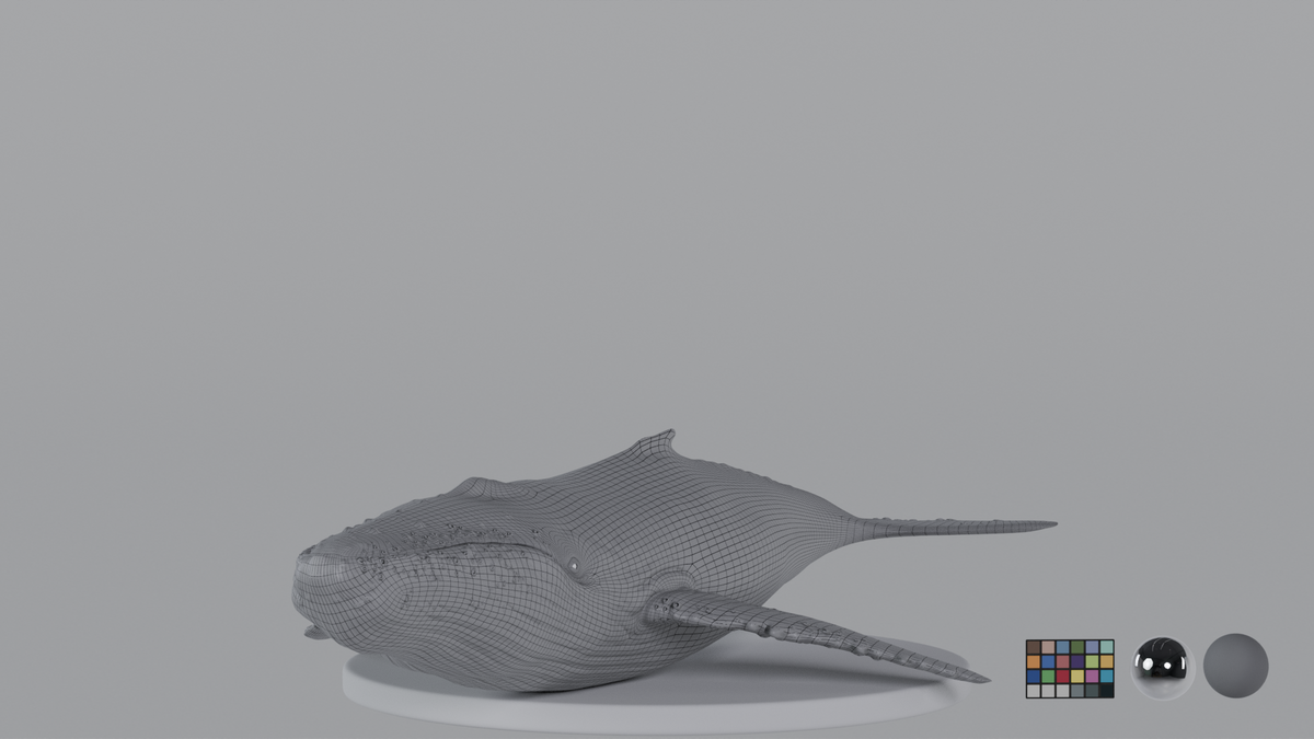 Whale
