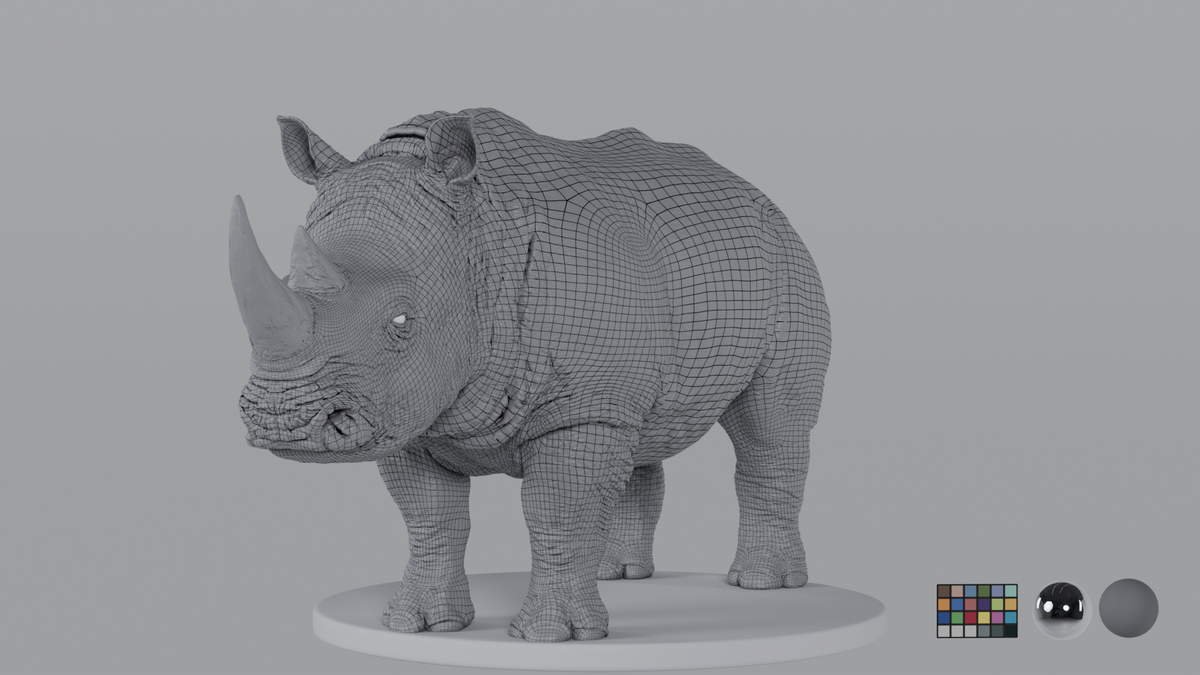 White Rhino
