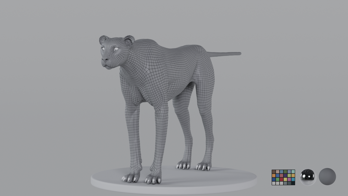 Cheetah