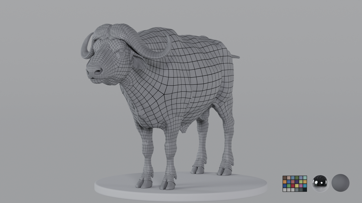 Buffalo
