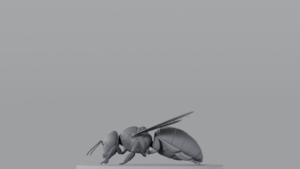 Bee