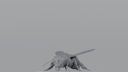 Bee