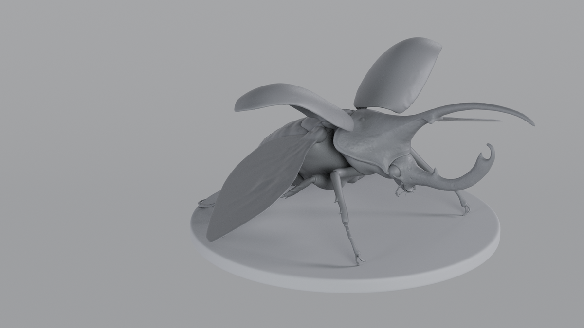 Beetle