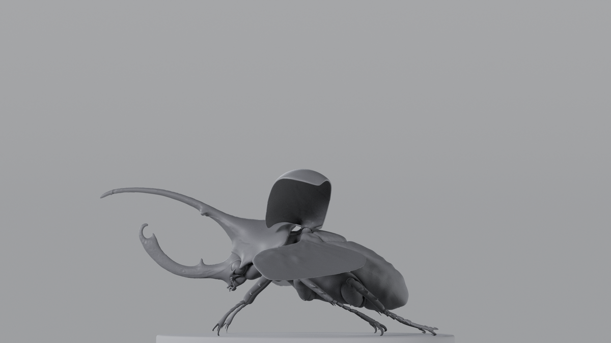 Beetle