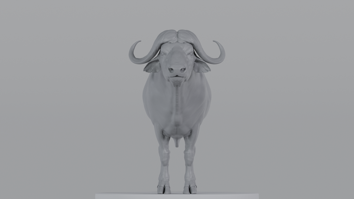 Buffalo
