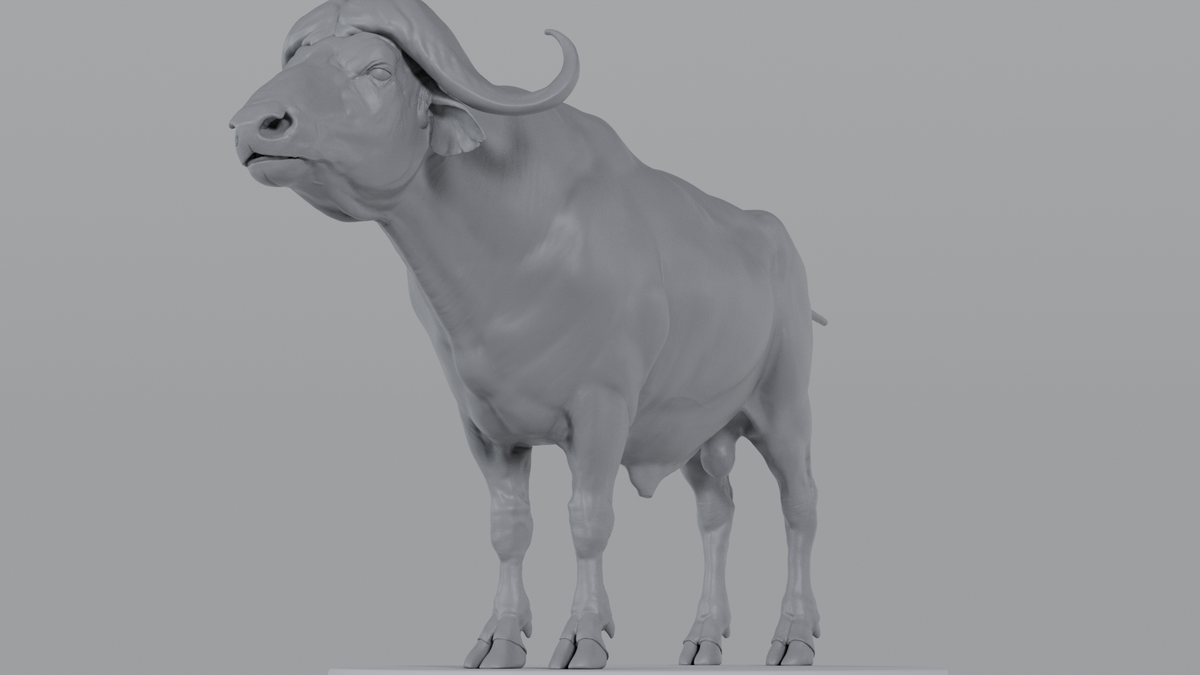 Buffalo