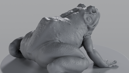 Bullfrog