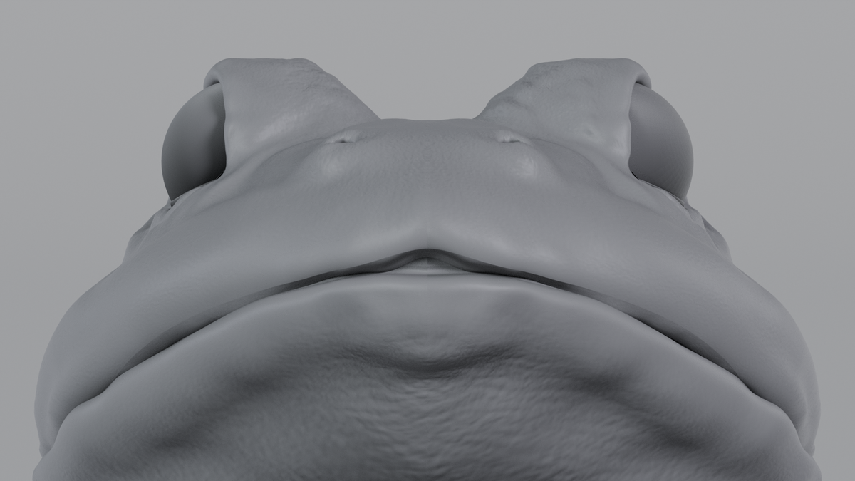 Bullfrog