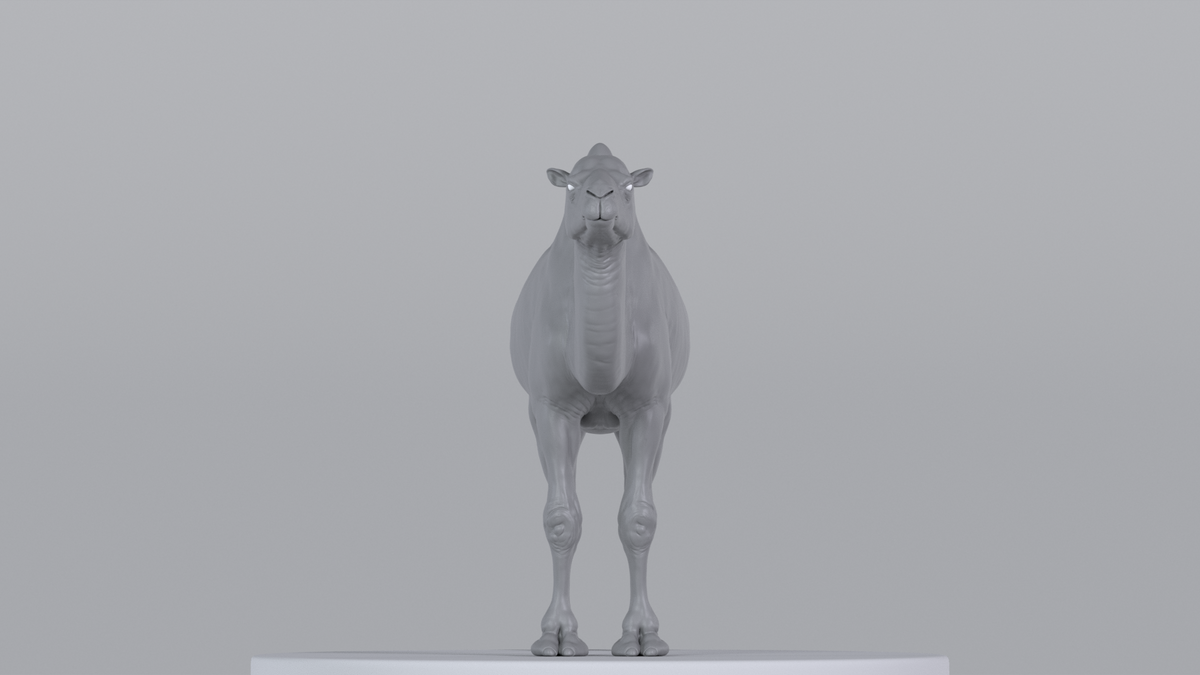 Camel