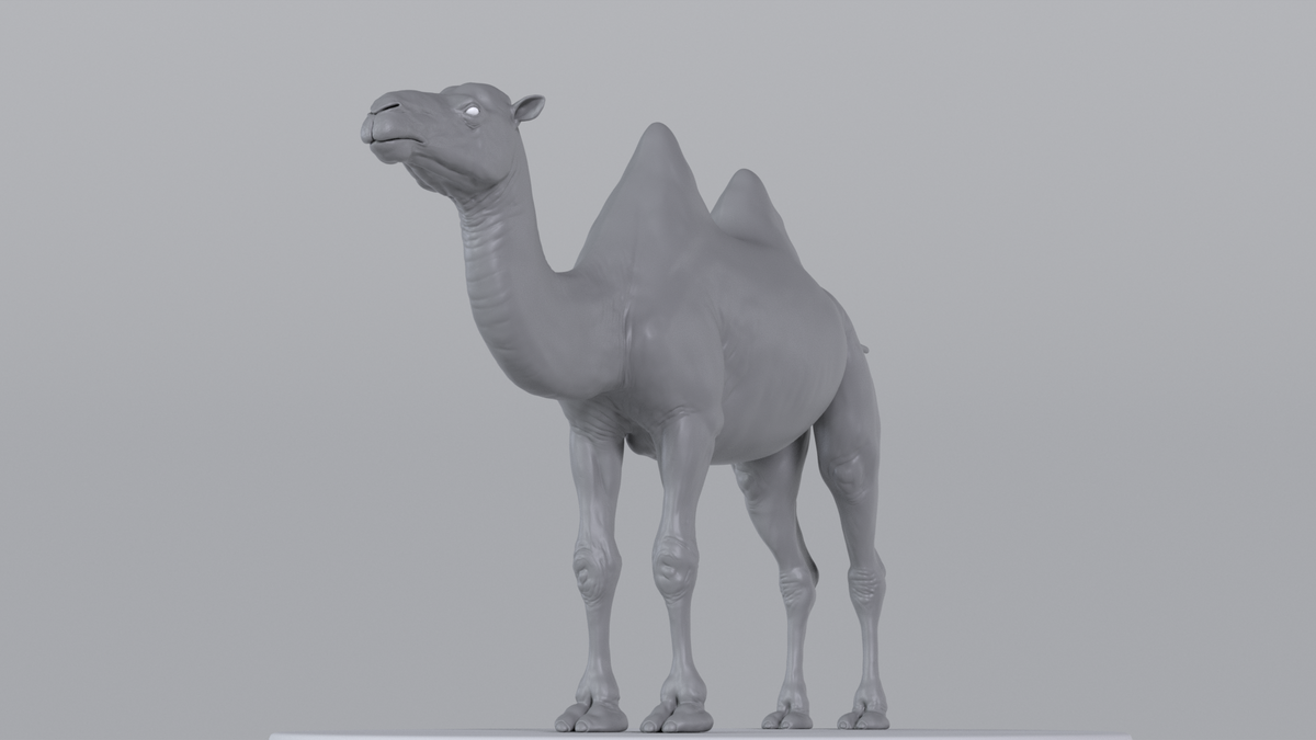 Camel