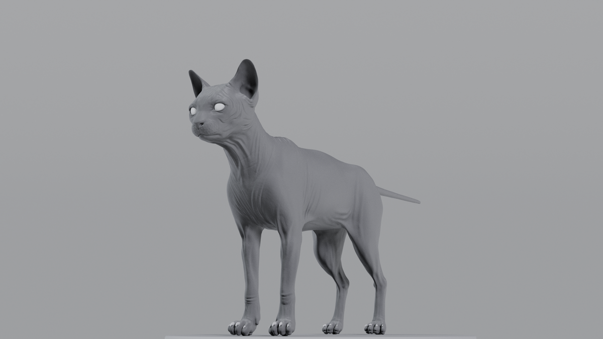 Cat