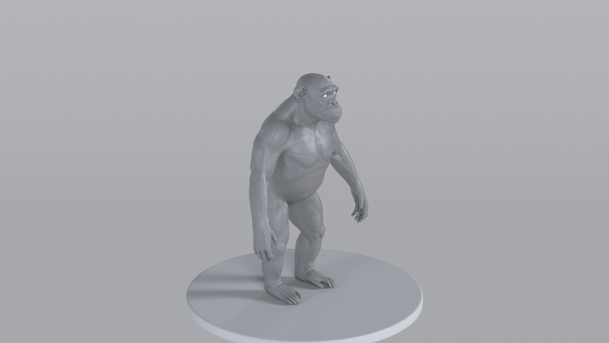 Chimpanzee