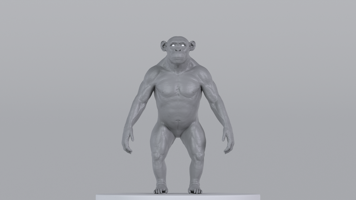 Chimpanzee