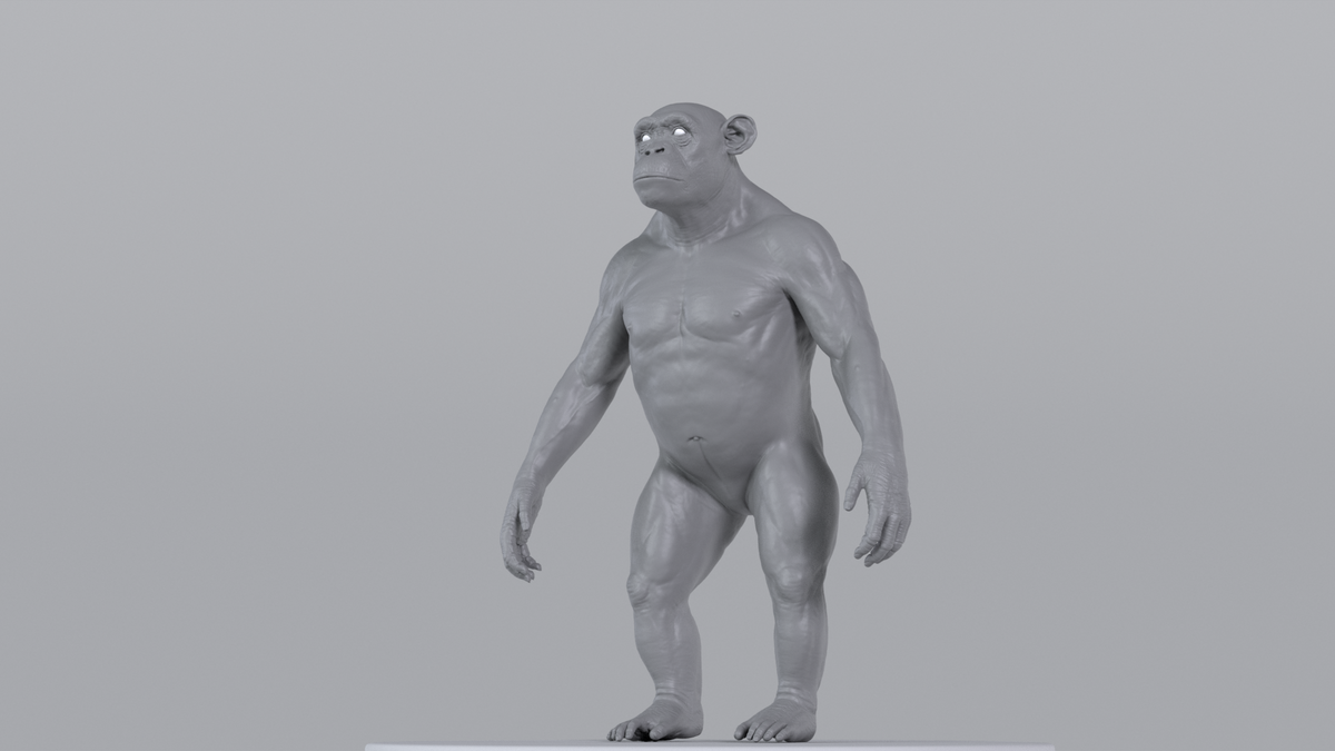 Chimpanzee