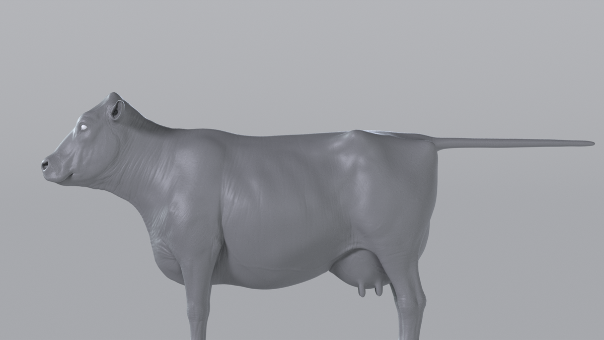 Cow