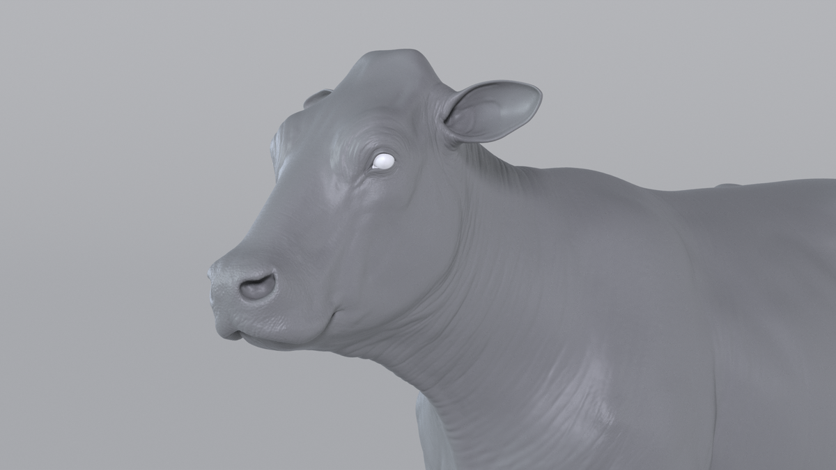 Cow