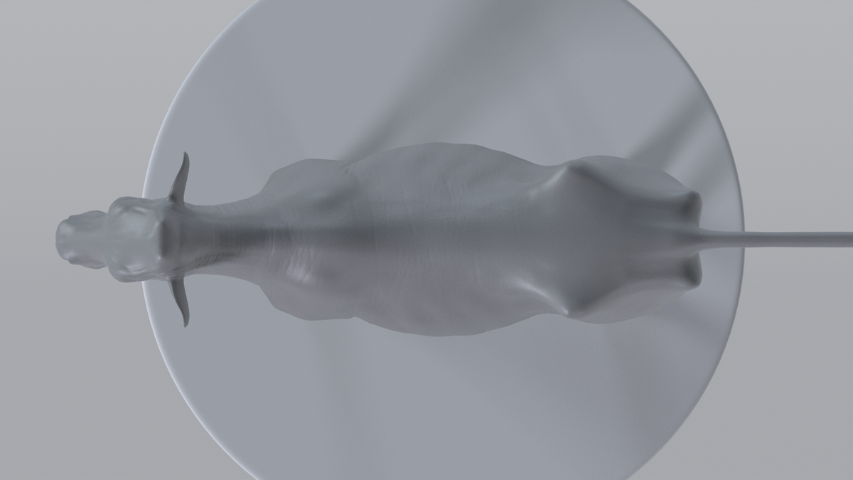 Cow