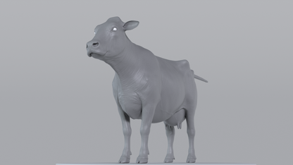 Cow