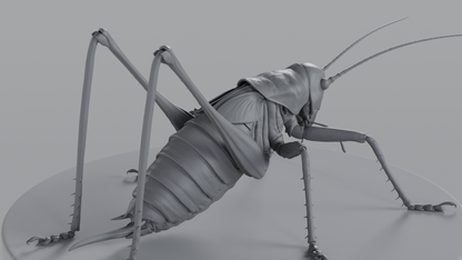 Cricket