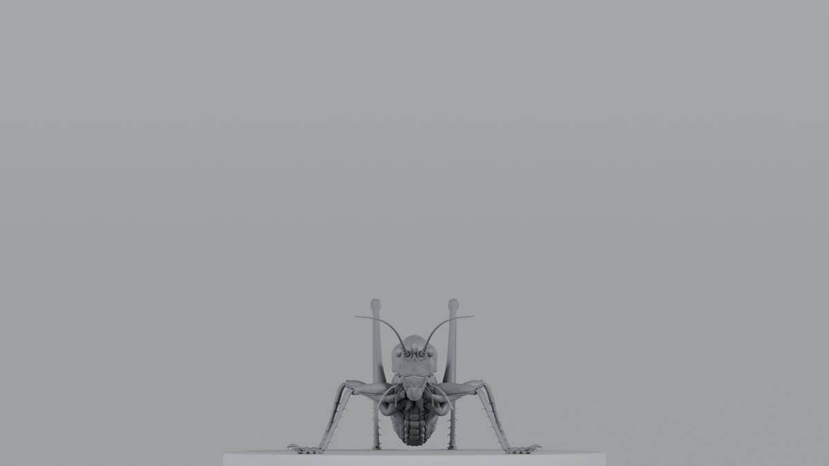 Cricket