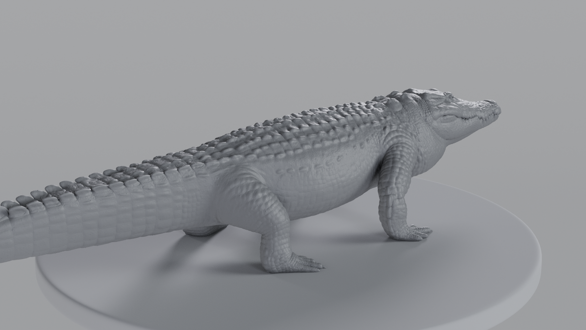 Crocodile