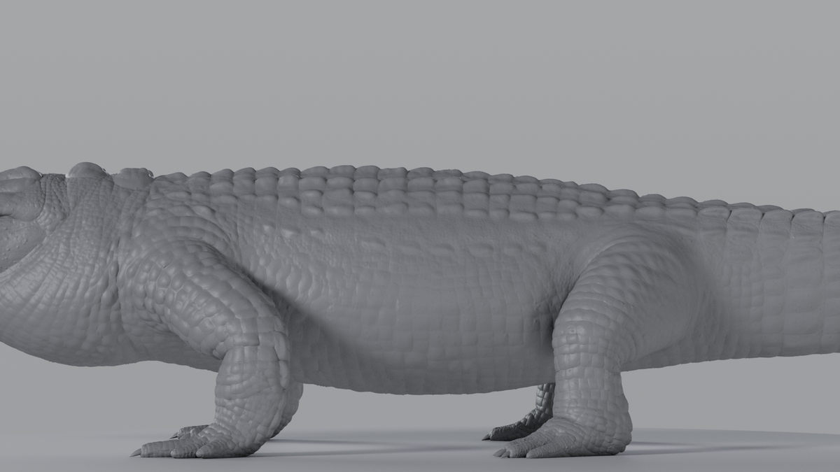 Crocodile